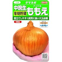 Amazon | タキイ種苗 春一番サラダ玉葱 フォーカス | 野菜