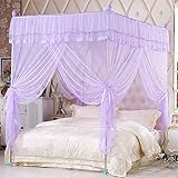 royal-ヨーロピアンスタイルスクエアトップMosquito Net three-door暗号化Thickeningシングルダブルベッドステンレススチールブラケットパープル 1.8*2.2m bed