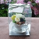パラボッセオリジナル プリザーブドフラワー カプチーノ ミント クリアケース入 横幅10cmx10cmx高さ13cm preserved flowers
