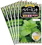 タキイ種苗 お買い得５つセット ハーブ　ペパーミント