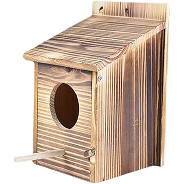 木製多層構造巣箱 大きめ Amazon.co.jp ほしい物ランキング: 鳥の巣・巣箱 で、ほしい物