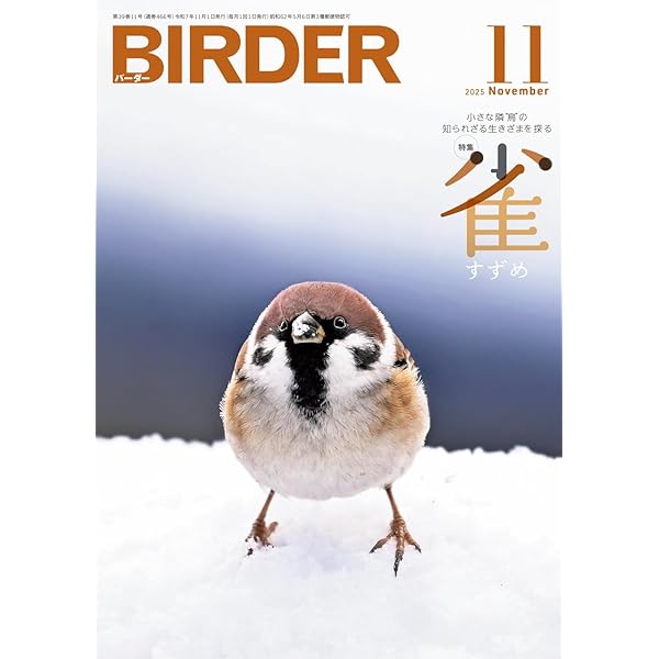 BIRDER（バーダー）2025年8月号 鶏（ニワトリ）と鶉（ウズラ