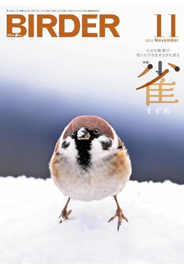 BIRDER 2024年 10 月号 [雑誌] |本 | 通販 | Amazon