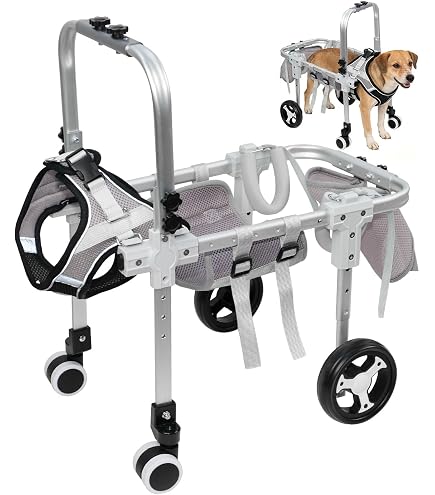 Amazon.co.jp: 調節可能な車輪犬の車椅子、障害のあるペットは犬が歩く
