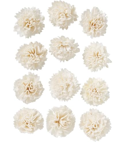 Amazon｜大地農園 ドライフラワー ヘリクリサム・ヘッド 約2~4cm 10g入