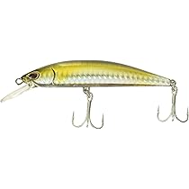 Amazon.co.jp: Rapala(ラパラ) ミノー ストーム ソーラン ヘビー