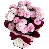 Amazon.co.jp: 来年2027年お届け 【ありがとうを伝える】 母の日 花