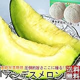 青肉メロン 2～3玉 訳あり品 茨城・熊本県産中心 アンデス・タカミ・キスミー等 露地栽培 旬...