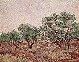 Van Gogh オリーブグローブ9 Olive Grove 9 キャンバス複製画 60X40cm 風景 絵画 完全に立体に複製 3D 印刷 美術品 部屋 壁掛け