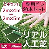 人工芝 C型 芝丈30mm 2m×4mを1本、2m×5mを1本の2本セット 押さえピン30本付 お得セット これでお庭をリニューアル!!