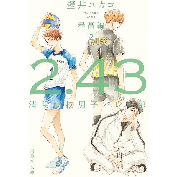 Amazon.co.jp: 2.43 清陰高校男子バレー部シリーズ[文庫版
