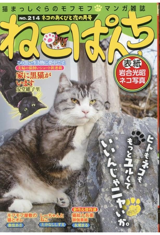 ねこぱんち ネコと私の夏物語号 (にゃんCOMI) | アンソロジー |本