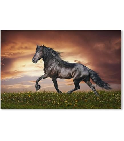 Amazon | 第38回 G1 有馬記念 優勝 トウカイテイオー TOKAI TEIO 競馬