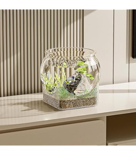 【新品・未使用】オイルチャーム　１２個セット アミューズメント景品(金魚等) Amazon.co.jp: 金魚鉢 メンダコ オイルチャーム アザラシ