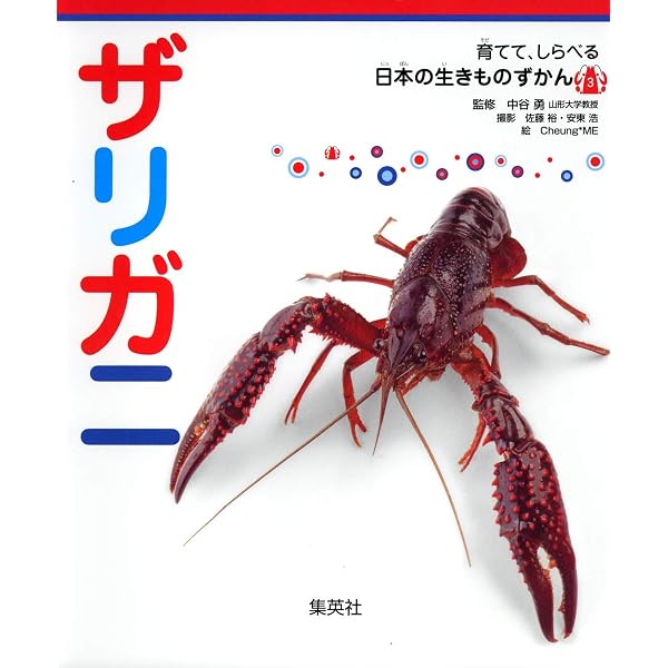 ざりがにのひみつ (しぜんにタッチ!) | 武田 正倫, 武田 晋一 |本