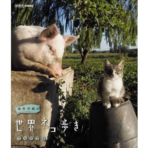 (未使用･未開封品)岩合光昭の世界ネコ歩き　山口　ブルーレイ Amazon.co.jp: 【NHKスクエア限定】岩合光昭の世界ネコ歩き