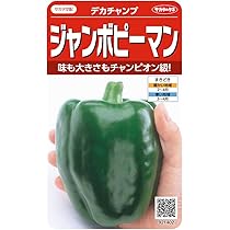 Amazon | サカタのタネ 実咲野菜1402 ジャンボピーマン デカチャンプ