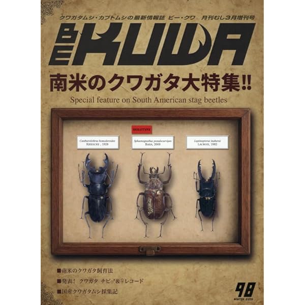 Amazon.co.jp: クワバカ クワガタを愛し過ぎちゃった男たち (光文社