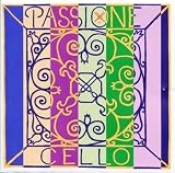 バイオリン弦 PASSIONE パッシオーネ Pirastro ピラストロ A線