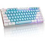 e元素メカニカルキーボード 有線ゲーミングキーボード81キー 青軸を採用のキースイッチ 英語配列アンチゴーストキー RGBバックライト 2色PBTキーキャップ Windows/Mac対応 オフィス/ゲーム用キーボード (ブルー&ホワイト・青軸)