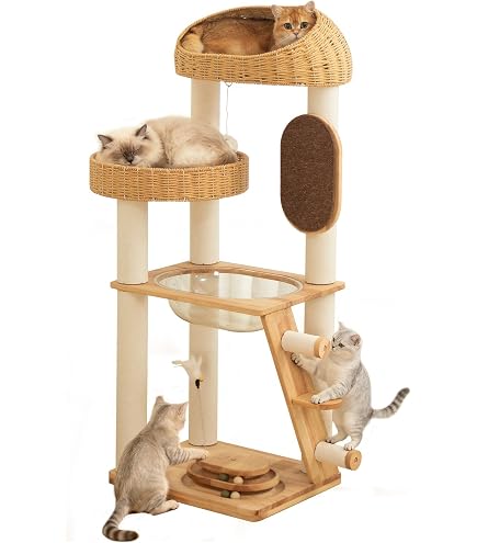 Amazon | 【なになにLife】 特大バスタブ型ボウル キャットタワー