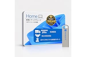 Windows11対応PC用 DSPライセンス日本語版（Home/インストールUSB付)