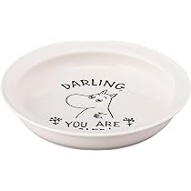 Amazon｜MOOMIN (ムーミン) 片手ですくいやすい カレー皿 ユニバーサル