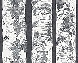 Schöner Wohnen 943332 non-woven-wallpaper。musterwallpaper. schiefergrau. verkehrsweiß. silberfarben