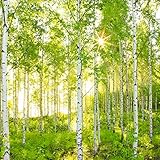 輸入壁紙/Sunday/サイズ：368×254cm/8NW-519/Z3K