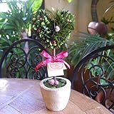 パラボッセオリジナル プリザーブドフラワー トピアリー ハート Lサイズ 母の日バージョン 横幅12cmx12cmx高さ18cm preserved flowers