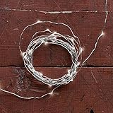 Kikkerland String Lights, Silver [並行輸入品]