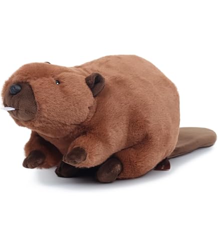 Amazon.co.jp: キュート販売 ぬいぐるみ ふわふわビーバー No186
