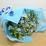 [エルフルール] 花束 ブルースター 20本花束 生花 フラワーギフト プレゼント 誕生日