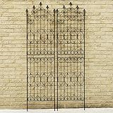 アイアンフェンス Nouveau(ヌーヴォー) ハイタイプ 高さ220cm×幅54cm 2枚セット ブラック SS-DNF220-2P