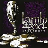 �T�N�������g