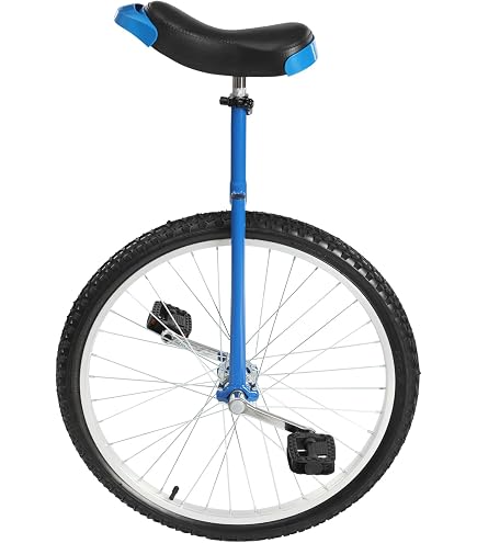 Amazon | Nisorpa 20インチ 一輪車 クラシック ブラック ワンホイール