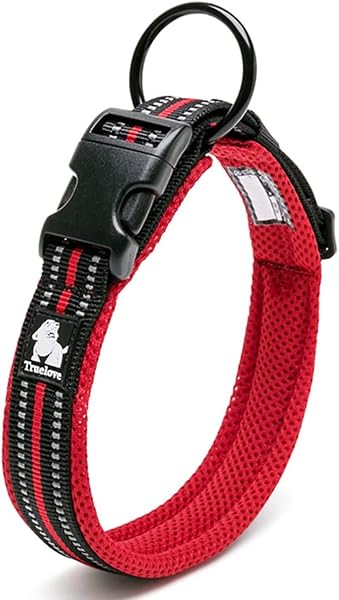 Cocomall Dog Collar, Training Collar for Small, Medium, and Large Dogs, Pet Product, 3M Reflective Material, Made of Nylon, Breathable, Stretchable, Soft, Adjustable, Harness, Leash, XS, Red - 1