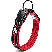 Amazon | cocomall日本授権店 犬首輪 犬の首輪 犬用訓練首輪 小型