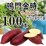 6月1日（金）発送 さつまいも なると金時 切り苗 100本