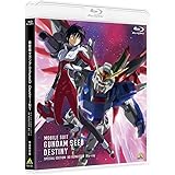【メーカー特典あり】機動戦士ガンダムSEED DESTINY スペシャルエディション HDリマスター Blu-ray（2商品連動購入特典：特製収納BOX引換シリアルコード付き）