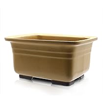 茶色の陶器製四角鉢　落款あり 中型 楽天市場】盆栽鉢 陶器 5~10号 長角マド入 おしゃれ 専門店 う泥