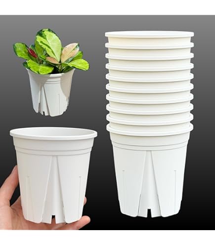 Amazon | 大和プラスチック 鉢・ポット プラ鉢 3号 φ98×H85 ホワイト | 鉢