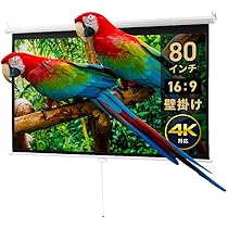 イーサプライ 80インチ プロジェクタースクリーン 4K対応 プロジェクタースクリーン （80インチ・ワイド・壁掛け・吊り