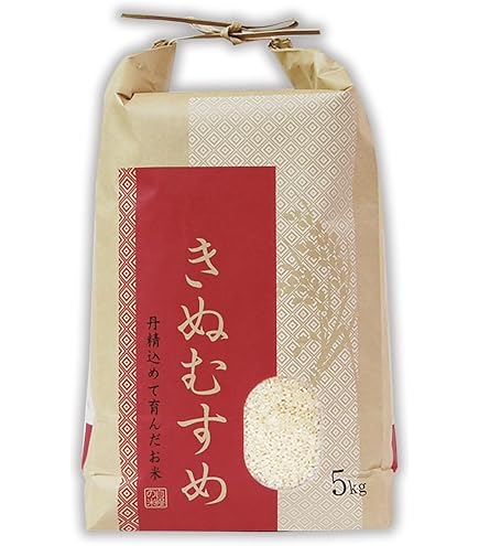 島根米　きぬむすめ10キロ　玄米 島根米 きぬむすめ10キロ 玄米