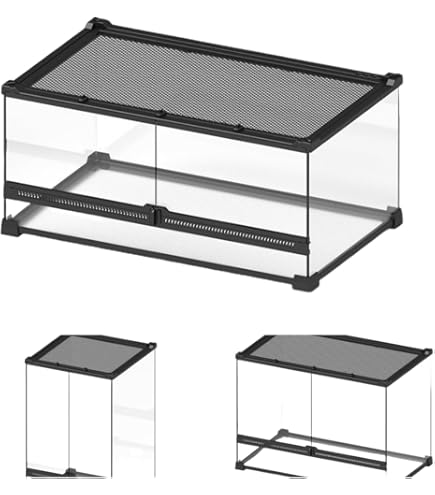 透明ガラス飼育ケージ 2個セット（バラ売り可） Amazon | 爬虫類用ガラスケージ グラステラリウム 通気性 両生類生息地