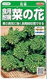 サカタのタネ 実咲野菜 食用耐病菜の花 花娘 野菜