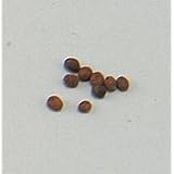 Amazon ホウセンカ ほうせんか の苗 5色から選べる２株セット おまかせ この時期 どこにも売っていない 夏休みの宿題応援企画 花