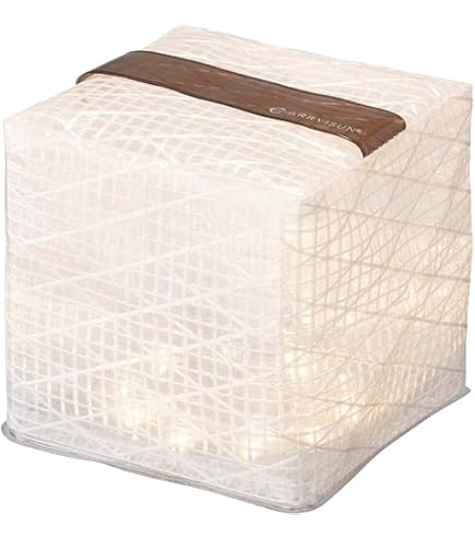 Amazon.co.jp: キャリー・ザ・サン(CARRY THE SUN) ソーラーランタン