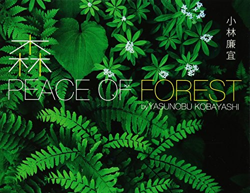 森 PEACE OF FOREST