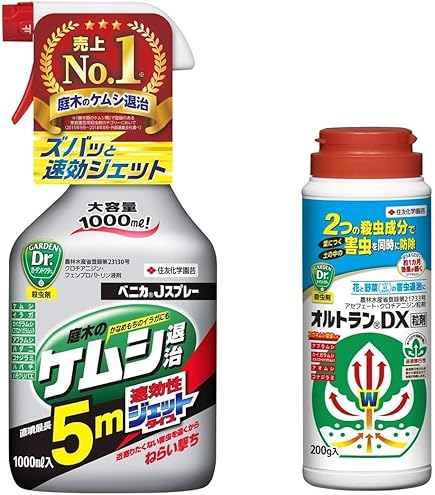シカタくず米 20kg シカタくず米 20kg シカタくず米 20kg 令和6年産 飼料用 肥料用